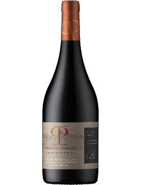 Casas-Patronales-Pinot-Noir-Gran-Reserve-0.75l